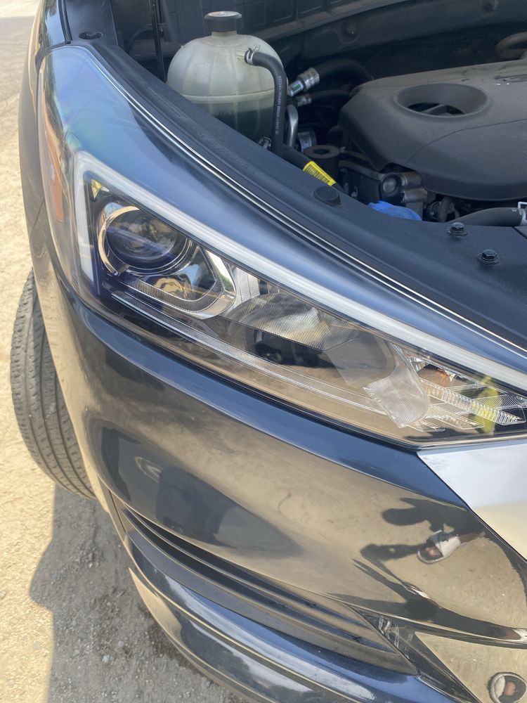 o (20)